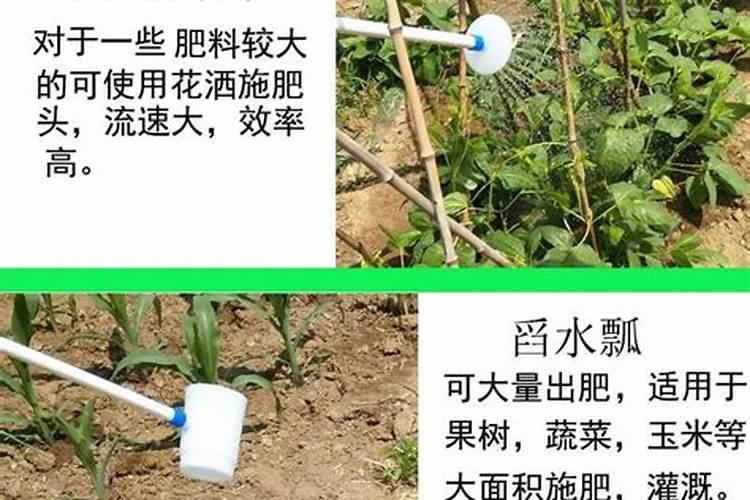 玉米水溶肥的使用方法