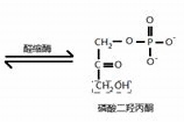 有氧呼吸三个阶段所需要的酶都是什么酶,种类都相同吗？