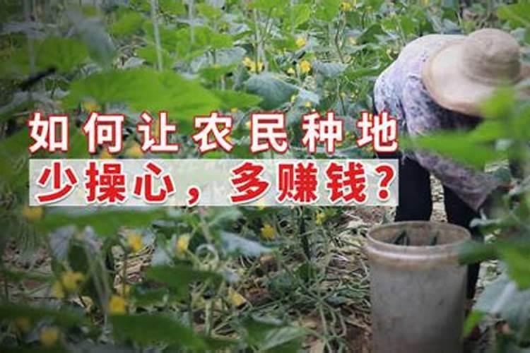 高翠泰苯甲唑氟吡菌打萄萄应稀释多少信