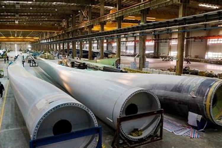 发财树多少钱一棵？2020年发财树价格行情