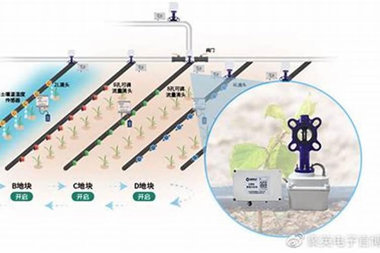 鱼池肥水撒什么肥料