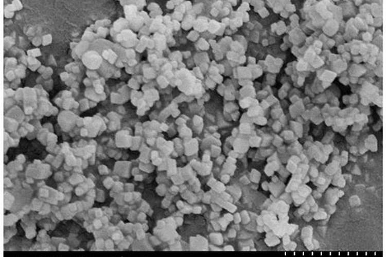 通过何种方式能让果子快速膨大