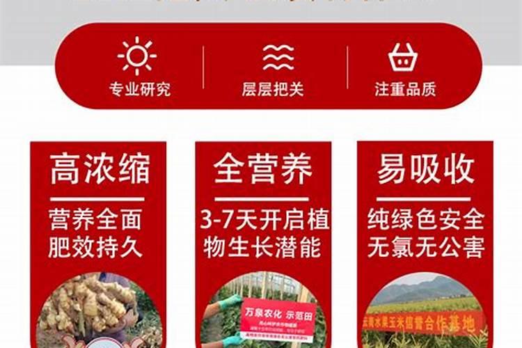 磷酸二氢钾怎么用效果好