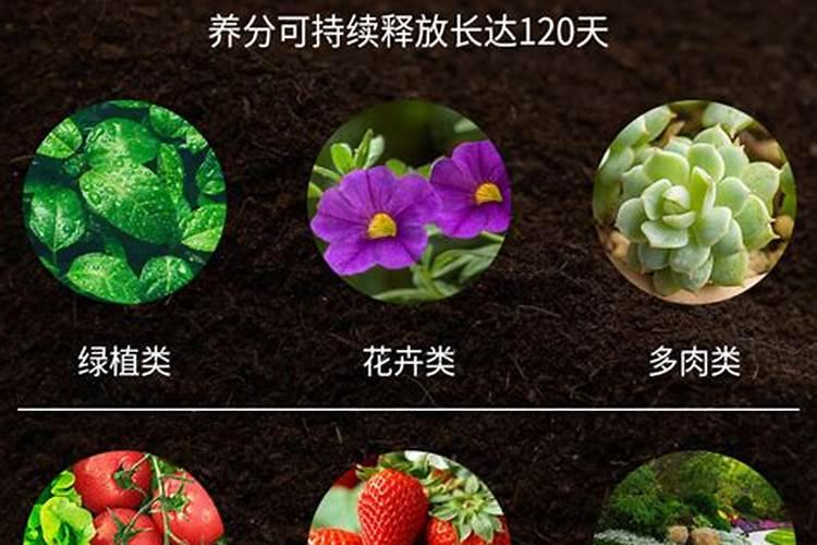 有机肥跟有机营养土有什么区别吗