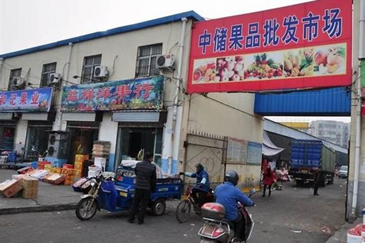 洛阳适合种植拐枣树吗