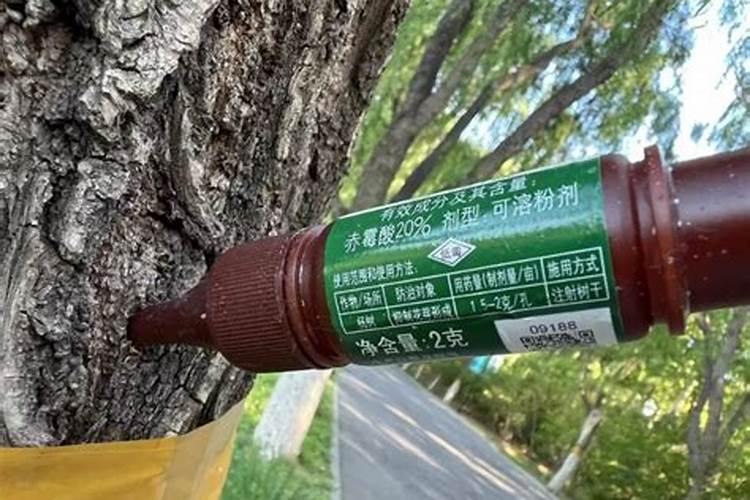 速生杨树用什么肥料长得快