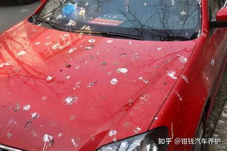 鸟屎可以做肥料吗