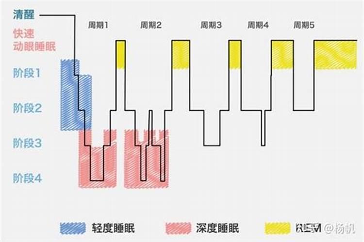 大、中、微量元素的区别