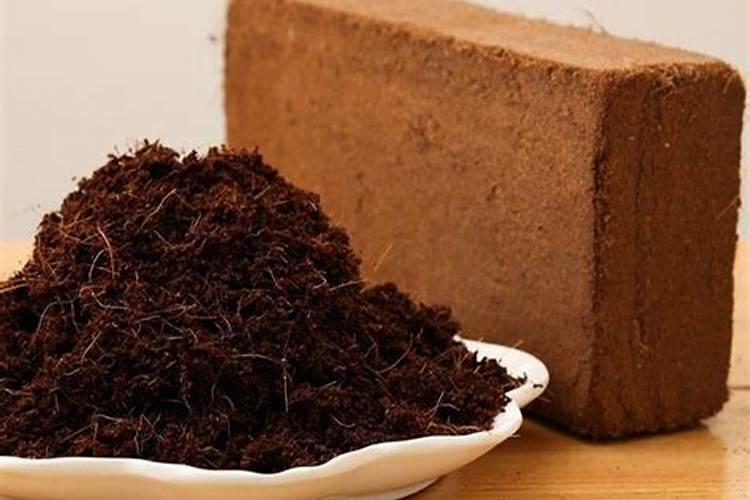 椰砖土种菜为什么不长