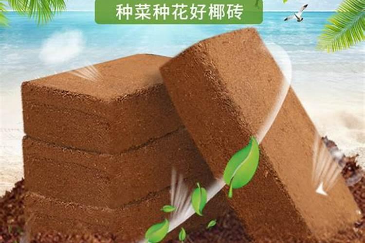 请教:用椰砖种菜会有什么不良后果吗？
