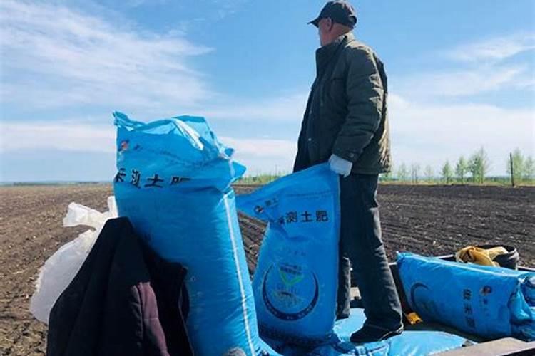 种小麦过了霜降用龙腾农农大地高氮肥好不好复合肥