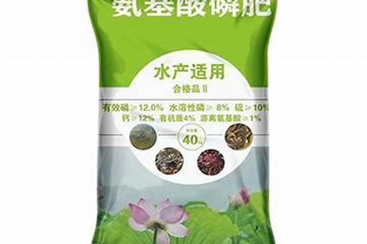 种花生用什么肥料好