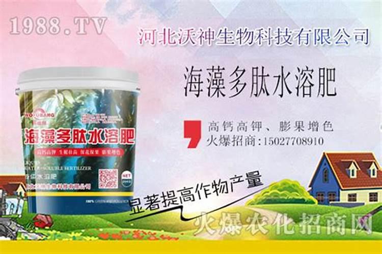 瓜果蔬菜等经济作物用海藻多酚水溶肥后会是什么样