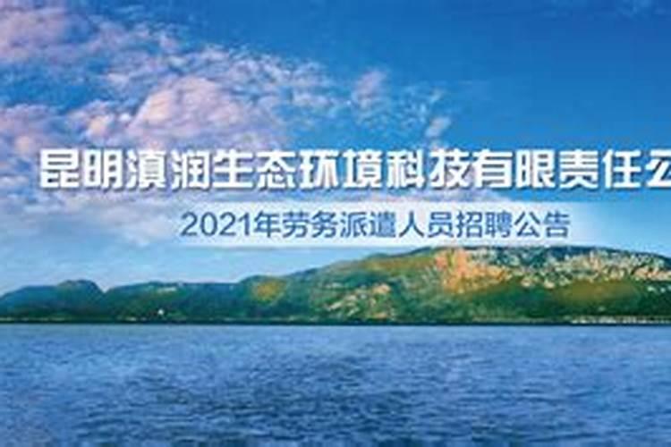 哪些茶是红茶？