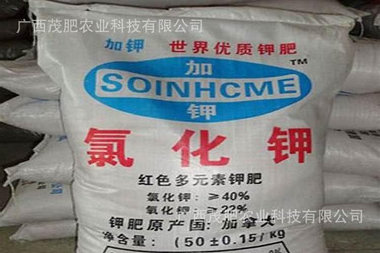 忌氯的蔬菜有哪些 哪些蔬菜作物不能用含氯肥料