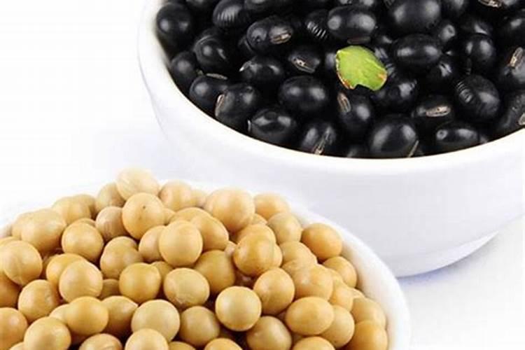 炒熟的黄豆能作为肥料放在米兰的土里吗？