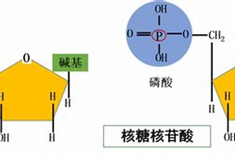 不同种类的氮肥要如何施用才合理？这些误区千万要注意!