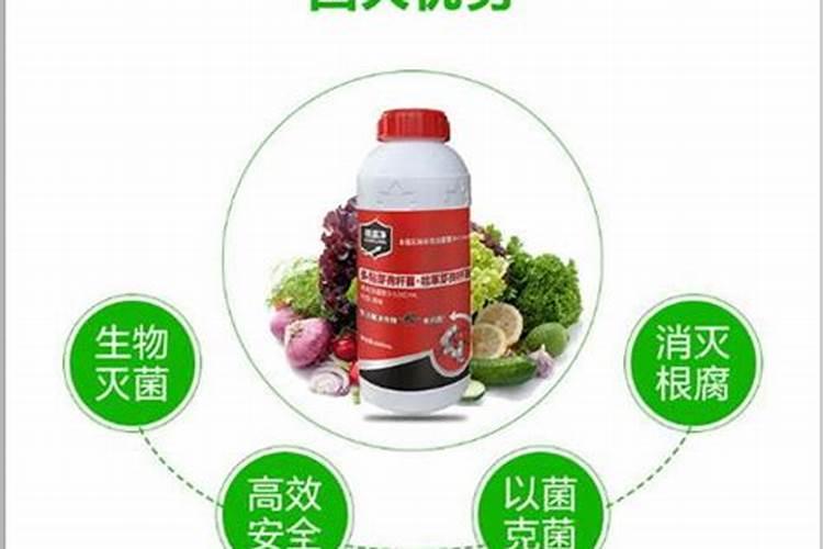 作物茎基腐病特效药