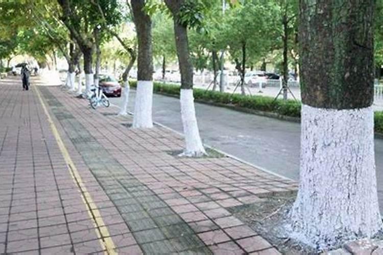 为什么在石灰性土壤上施用铵态氮比施用硝态盐更好？