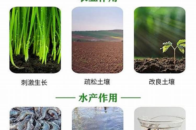 擦亮双眼,防忽悠!一篇文章彻底弄懂真假腐殖酸