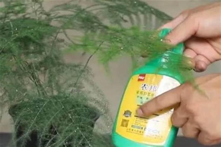 喝茶补钾吗 看了你就知道了