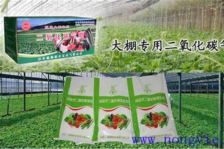 怎样进行二氧化碳施肥？