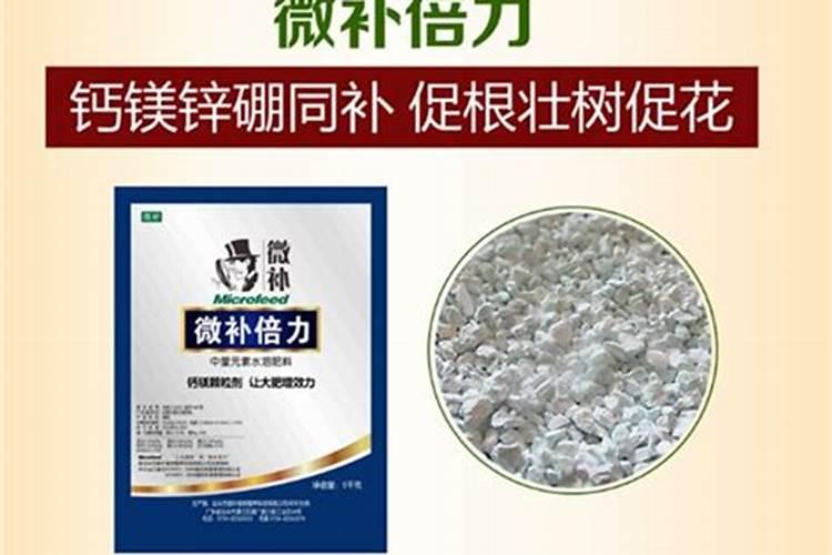 柑橘缺镁症,该怎么补救？