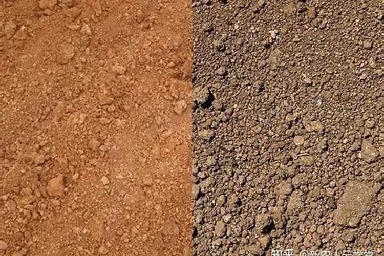 给蔬菜施肥时,磷肥的讲究到底有哪些呢？