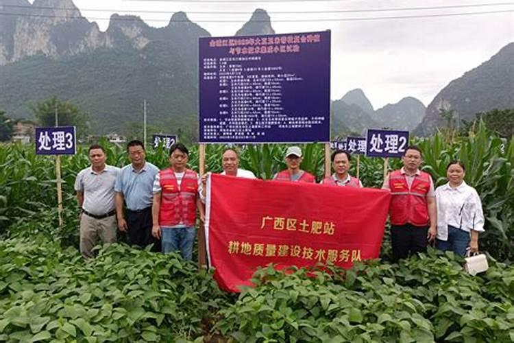 什么是农业“三站”