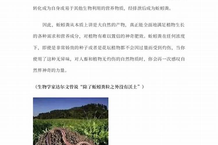 如何让板结的泥土松散,板结土质改良松软的十大方法