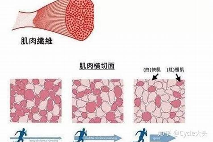 女生自己对一种药展开研究然后注射进身体,怎么让原本很小的肌肉有大改 ...