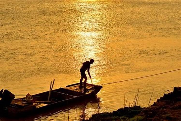 这些作物怎么使用鱼蛋白肥？千万别施错了!