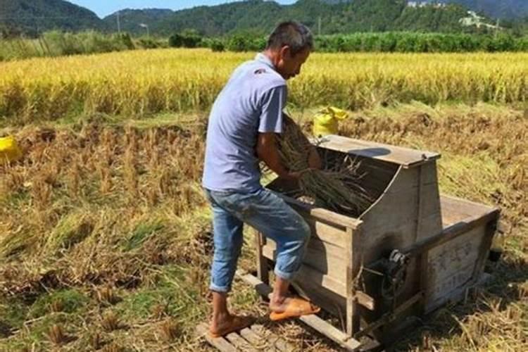 作物使用鱼蛋白肥会有什么效果？