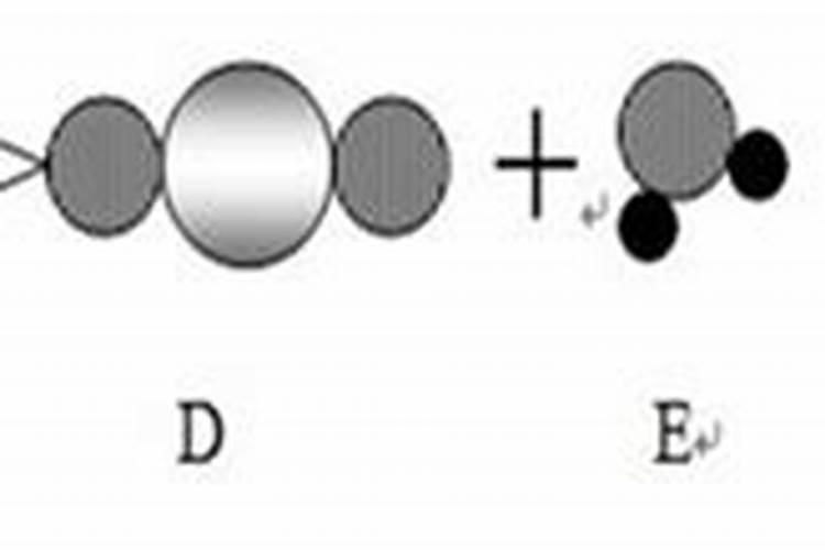 给花喷点它,叶子绿得滴油,花叽里咕噜开爆盆!