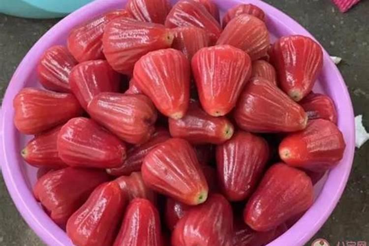 莲雾市场需求大,莲雾种植技术要点有哪些呢？