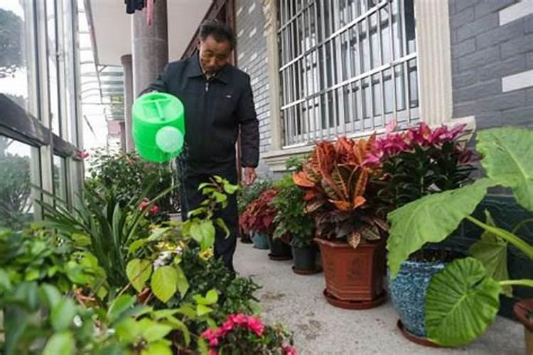 内蒙古天润化肥厂现状