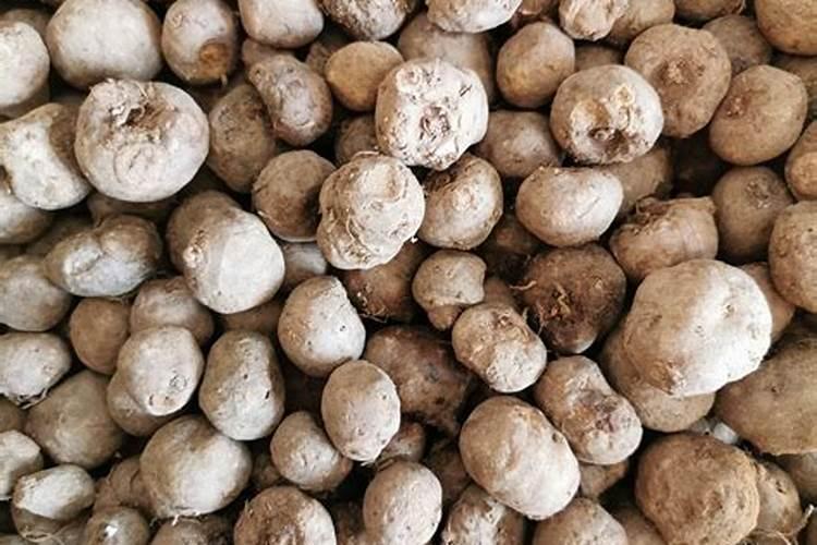 魔芋追肥用什么肥料好