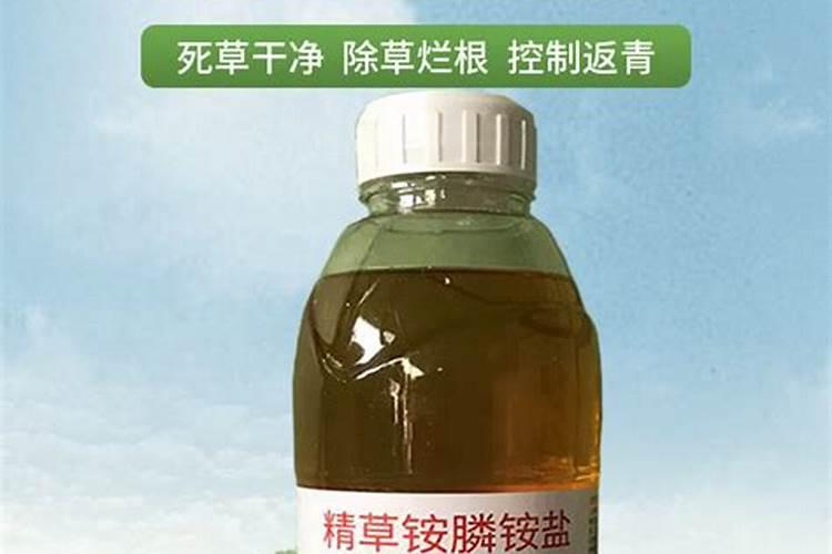 精草铵膦铵盐加柴油的正确使用方法