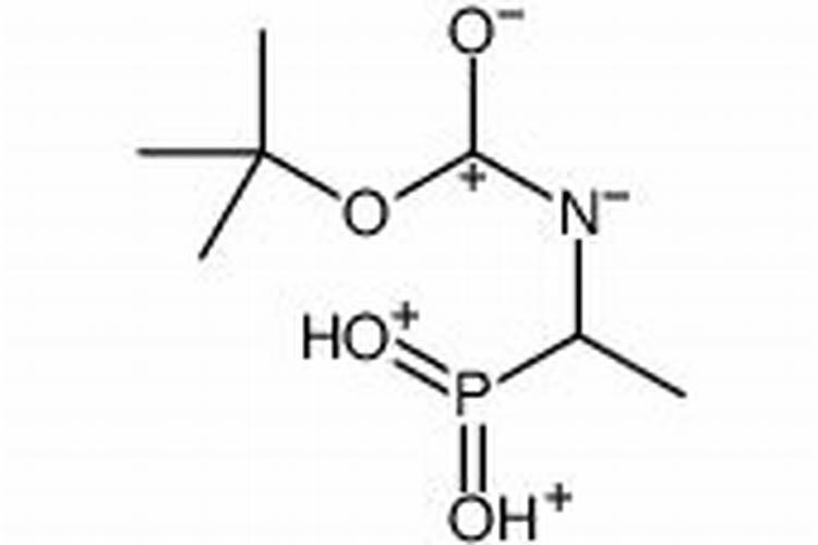 西红柿根腐病怎么治