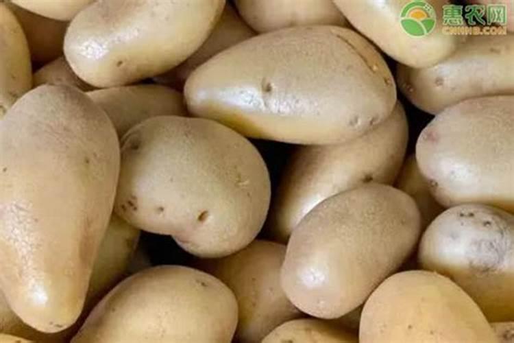 种土豆施什么底肥好？