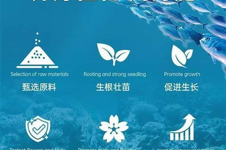 红枫不长叶子怎么办