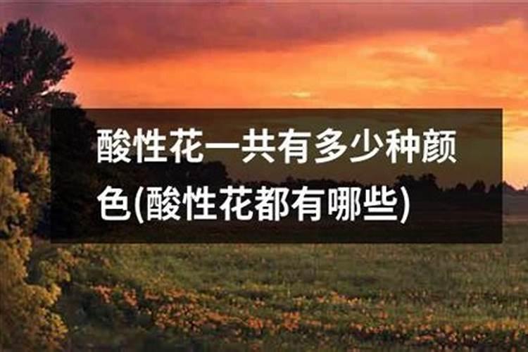 茶花、杜鹃花、栀子花适合浇什么酸性肥料？