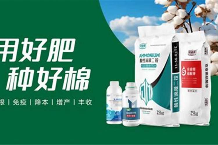 棉花种子种植方法,棉花怎么播种
