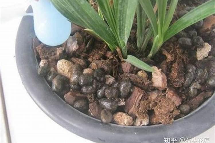 氮肥可以兑水浇花吗