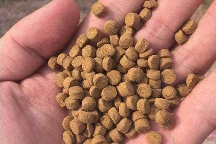 目前国内鱼蛋白肥料哪家比较好？