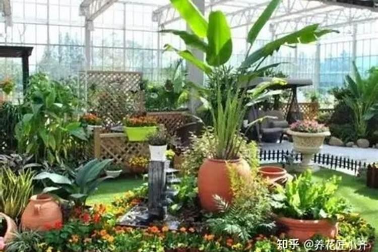 草木灰可以直接拌土养花吗