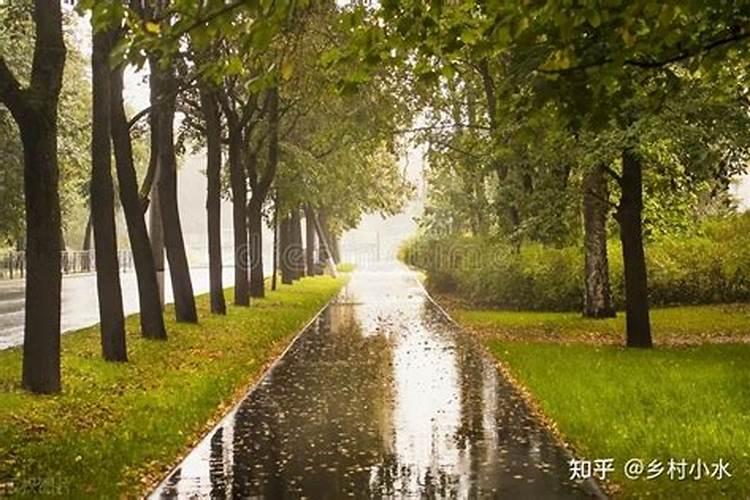 立秋后杨树还能施肥吗？