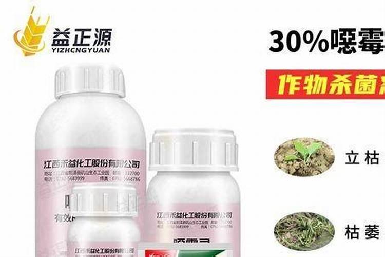 稀土的肥料是比普通的非贵一点吗