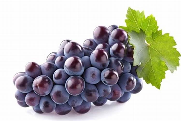 葡萄种植如何施肥？