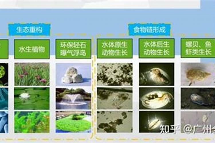 自来水中不含硅元素,那么该如何补充